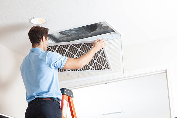 Best Solar-powered HVAC Systems in Cold Spring, MN